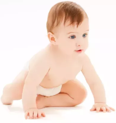 世界の赤ちゃん用おむつ企業トップ 4